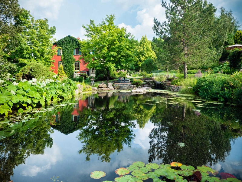 Camping Rêve Nature - Saint-Ferdinand -Centre-du-Québec